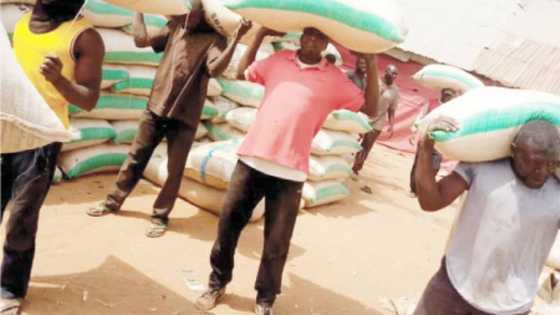 Mutane 7 sun jikkata yayin zaben kungiyar ‘yan dako a Taraba