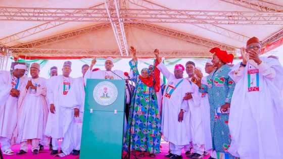 Abin da Ya Hana Buhari Tsoma Baki a Tirka-Tirkar Binani da Fintiri – Gwamnatin Tarayya