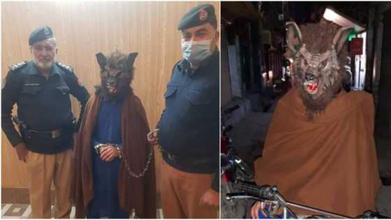 Police arrest man dressed as werewolf to scare people on new year's eve, here is what they did to him, many react (photos)