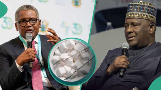 FG moves to engage Dangote, BUA, other manufacturers to crash the price of sugar