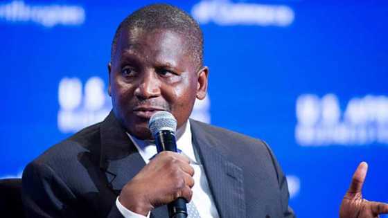 Despite dropping down billionaire list Dangote Kicks off August big after Making Over N7bn in 8 Hours