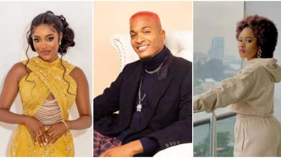 BBNaija: Beauty angrily drags away drunk Phyna who attempts to join Groovy in bed, Nigerians react