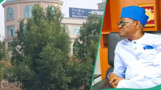 "This is really weird": Netizens fume as Abuja Chinese supermarket bars Nigerians from shopping