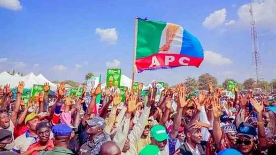 An Wulakanta Babban Jigo a APC, Tsageru Sun Yi Masa Tsirara a Bainar Jama’a