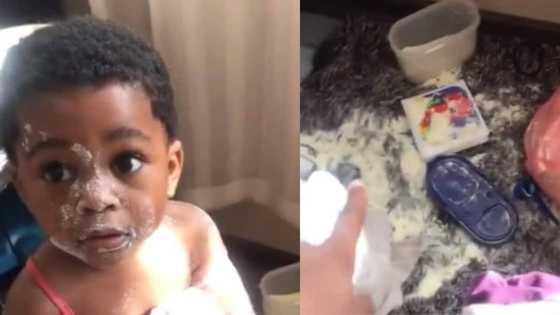 Social media reacts as woman shares adorable video of her little baby making a big mess