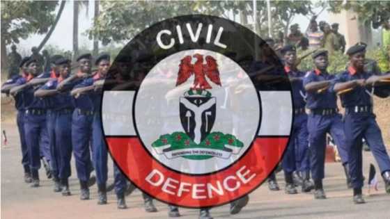 Kano: NSCDC Ta Kama Wani Mutum Da Katin Waya 22 Da Katin ATM 14