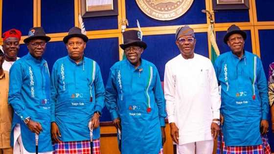 Makonni 3 Bayan zabe, Shugaban PDP Ya Jero Dalilan Wike na Goyon Bayan Tinubu