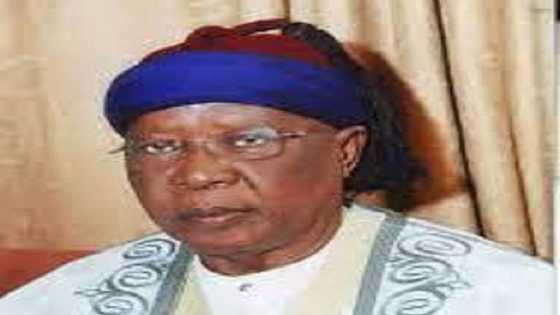 Da Ɗumi-Ɗumi: Sarki Mai Daraja Ta Ɗaya Ya Mutu a Adamawa