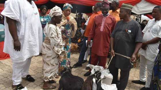 PDP lawmaker reveals reason for giving constituents goats, cash