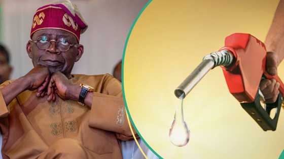 'A fita zanga zanga,' Yadda aka yi rubdugu ga Tinubu kan tashin kudin fetur