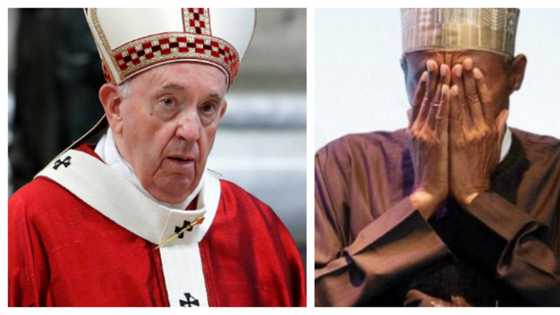 Stop killings in Nigeria - Pope tells Buhari in viral video