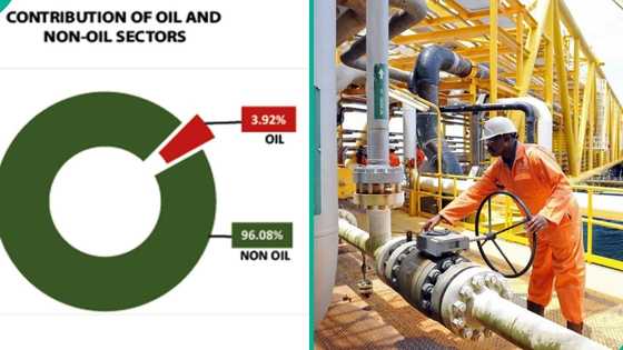 Nigeria’s GDP grows by 3.89% in Q1 2026, 10 sectors lead