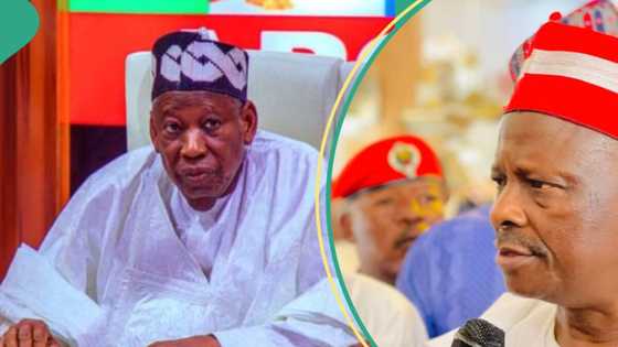 Aikin Kwankwaso ne: Lauyan APC ya 'tona' masu neman karya Ganduje a siyasa