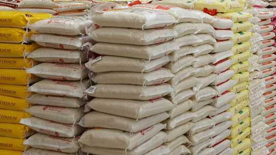 Amid tears of inflation, CBN crashes prices of rice, gives reasons