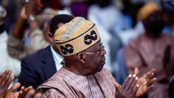 2023: Bubble to burst for Tinubu as APC reportedly moves to zone presidency to northeast