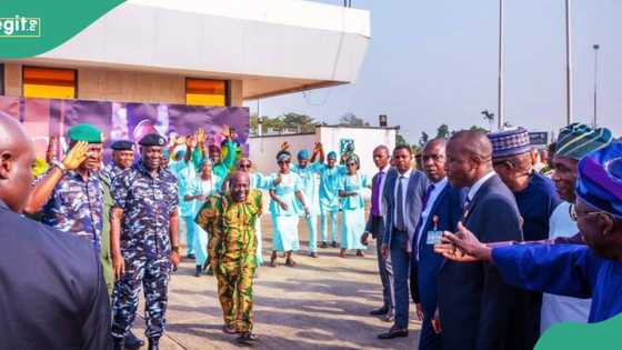 Why Tinubu is always seen with Papa Ajasco in Lagos, presidential aide explains