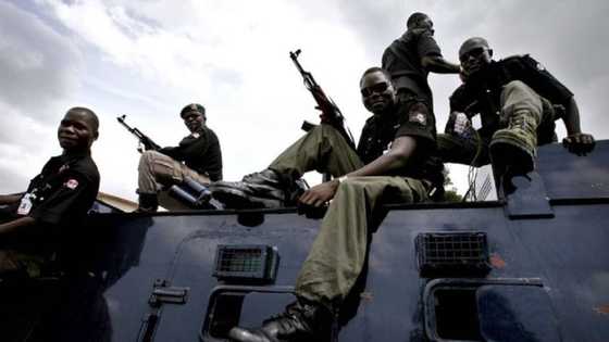 Masu Garkuwa Sun Fada Komar Yan Sanda Yayin Da Suke Kokarin Karbar Cikon Kudin Fansa A Wata Jihar Arewa