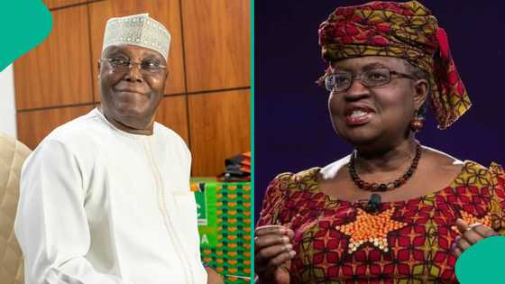 Yadda Atiku ya kusa zabar tsohuwar Minista a matsayin abokiyar takara a zaben 2027