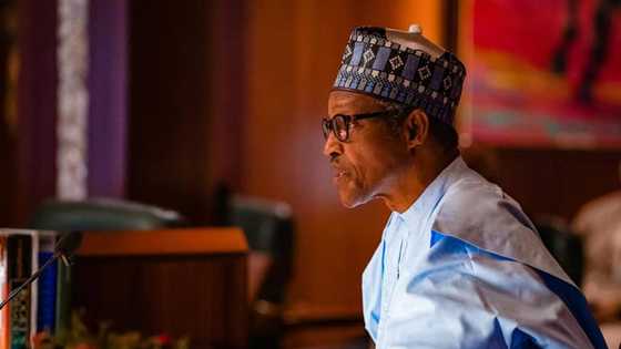 Why Northern Elders Forum is a paper tiger - Presidency