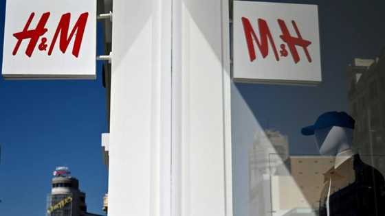 H&M shares tumble over profitability concerns
