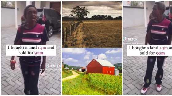 Smart Nigerian Woman Buys Land for N1.5M, Sells It N90M 15 Years Later, Many React