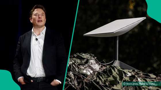 Elon Musk's Starlink places new orders on hold after addressing price hike in Nigeria