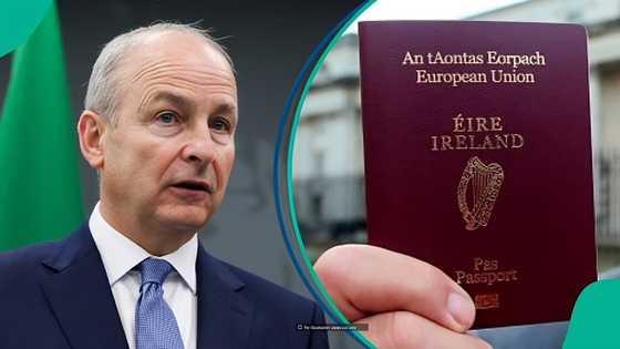 Ireland publishes salary foreigners in 4 occupations must earn to get General Employment Permit