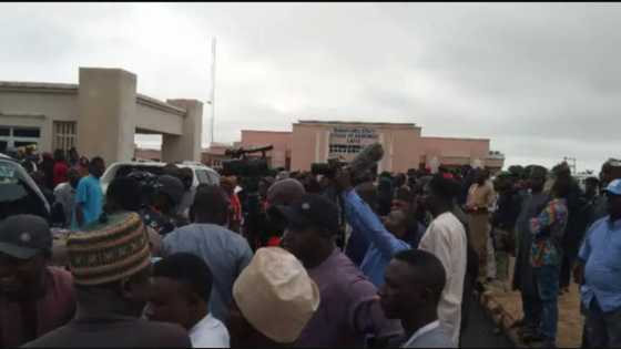 Rikicin Shugabanci: Fusatattun Matasa Sun Fara Zanga-Zanga a Harabar Majalisa, Sun Fadi Dalilinsu