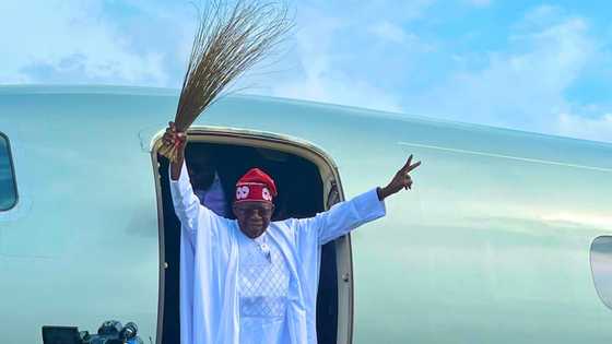 2023: List of Nigerian politicians, groups mobilising for Tinubu