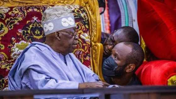 2023: Make baba go rest - Recent photo of Tinubu sparks reactions concerning his health