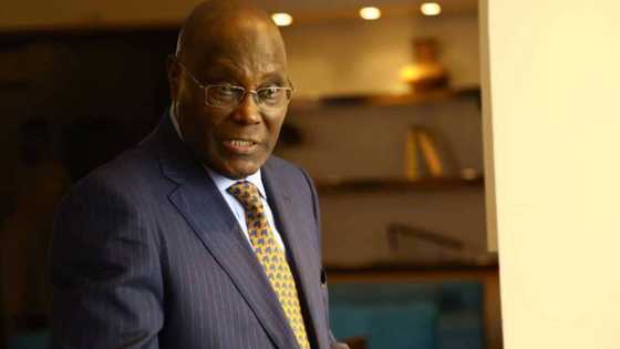 Kotu ta aike ɗan gani-kashenin Atiku Abubakar gidan yari kan zagin Lamiɗon Adamawa