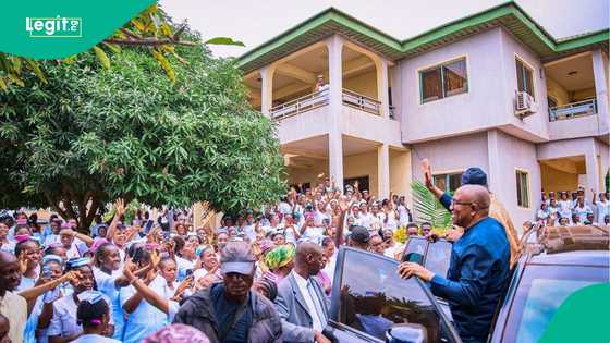 Obi da Kwankwaso sun fitar da kwamitin yakin zaben shugaban kasa a NDC