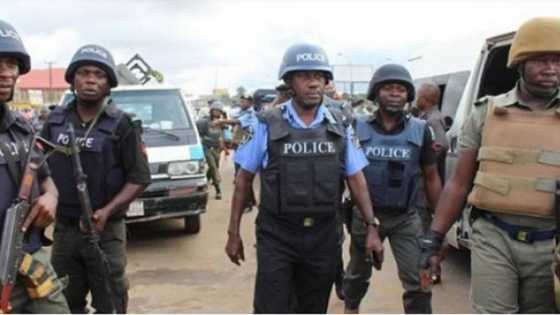 Abun Kunya: Wani Mutumi Ya Dirkawa Diyarsa da Ya Haifa Ciki, Yan Sanda Sun Damke Shi