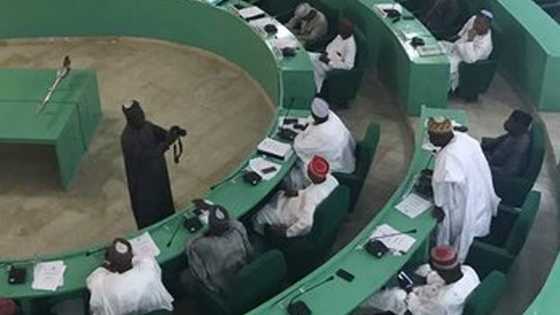 Ana hege a Kano: Kwanaki kadan da barin APC zuwa NNPP, dan majalisa ya sake komawa APC