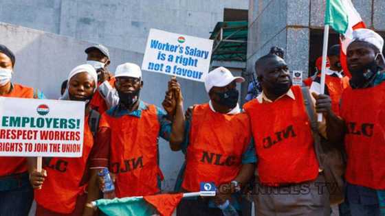 Kwadago zata fara zanga-zangar baji-ba-gani kan batun mafi karancin albashi