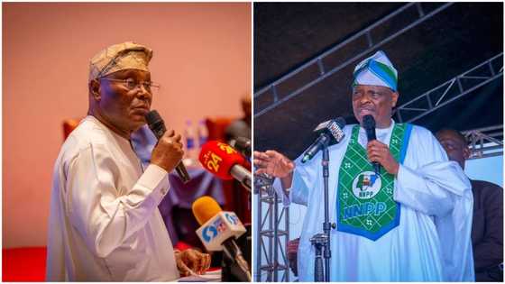 2023 presidency: Kwankwaso to form alliance with Atiku to defeat Tinubu? NNPP opens up