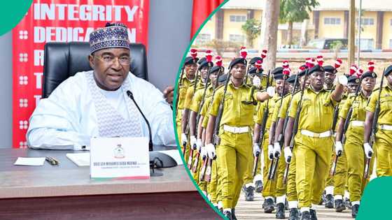 NDLEA raids 75 drug dens in Kaduna, nabs over 100 suspects