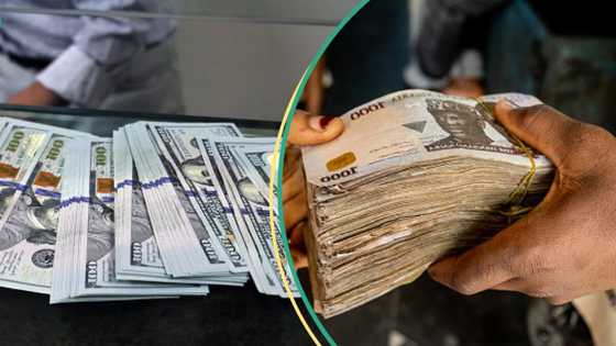 Yadda masu zuba jari daga ƙasashen duniya suka 'kunyata' Kano, Gombe da jihohi 30 a Najeriya