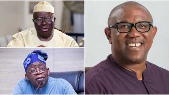 Babban Cikas Ga APC, Tinubu Yayin Da Shugaban 'Yarbawa' Ya Yi Maganan Karshe Kan Dan Takarar Shugaban Kasa