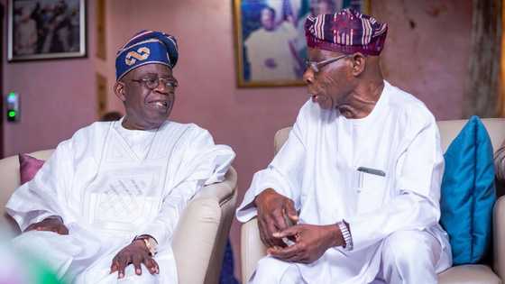 Flashback: What Tinubu said about Ex-President Obasanjo in 2019