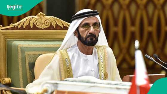Dubai launches website where people can search and apply for government jobs