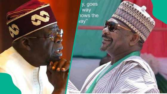 Sokoto bombing: Senator Ningi mentions major Tinubu's error