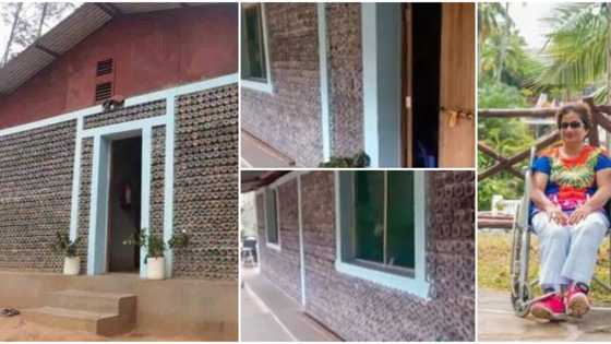 4 smart individuals who built fine houses with wastes, a lady built 4-bedroom house with 50k plastic bottles