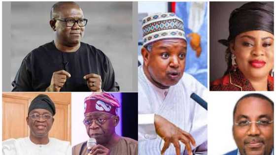 Gwamnoni, jiga-jigan APC, PDP 7 da EFCC ke bincika kan batun Pandora Papers