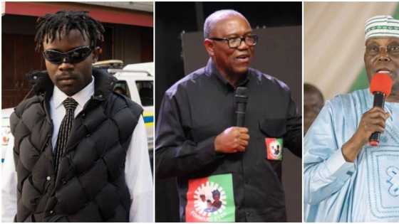 Nigeria 2023: "Play the game or stand outside and be crying," TG Omori taunts Tinubu’s contenders