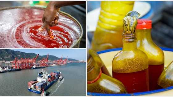 Despite restrictions, Nigeria's palm oil imports from Asian countries continue to break records
