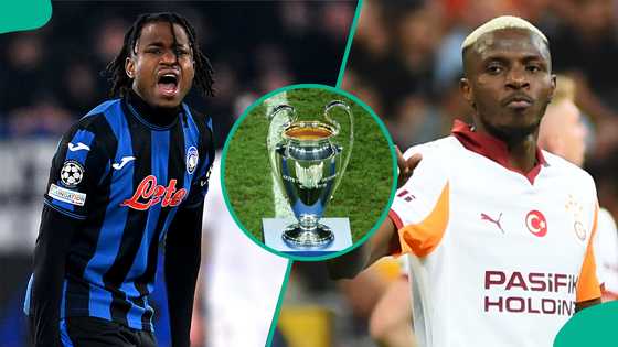 Osimhen, Lookman and other Super Eagles stars who will play Champions League this season
