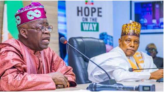 2023: “Tinubu-Shettima will replicate Lagos, Borno achievements”, top APC chieftain assures