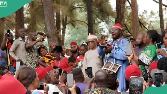 Native doctors endorse Nigerian governor for second term