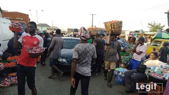 Food prices drop after northern food dealers lift ban on food supply